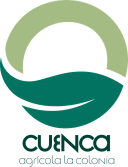 Cuenca